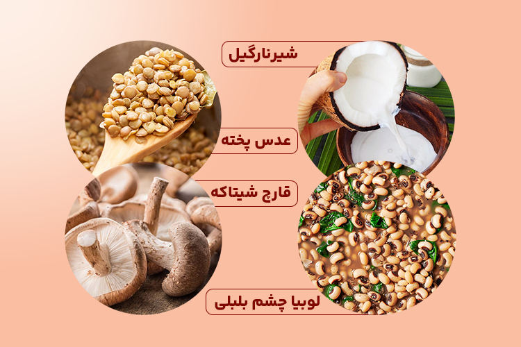 غذاهای پروتئین دار برای لاغری، عدس پخته، شیر نارگیل، قارچ شیتاکه و لوبیا چشم بلبلی